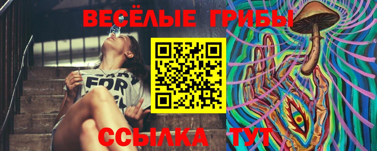 Галлюциногенные грибы ЛСД Егорьевск