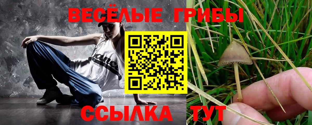 Егорьевск  Галлюциногенные грибы Psilocybine cubensis  Вход с VPN 